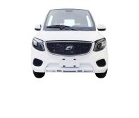 Asya Vitale Auto Elettrica