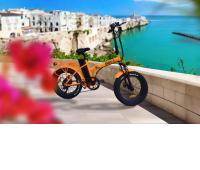 FAT-02 DB - Fat Bike Elettrica Telaio Dritto